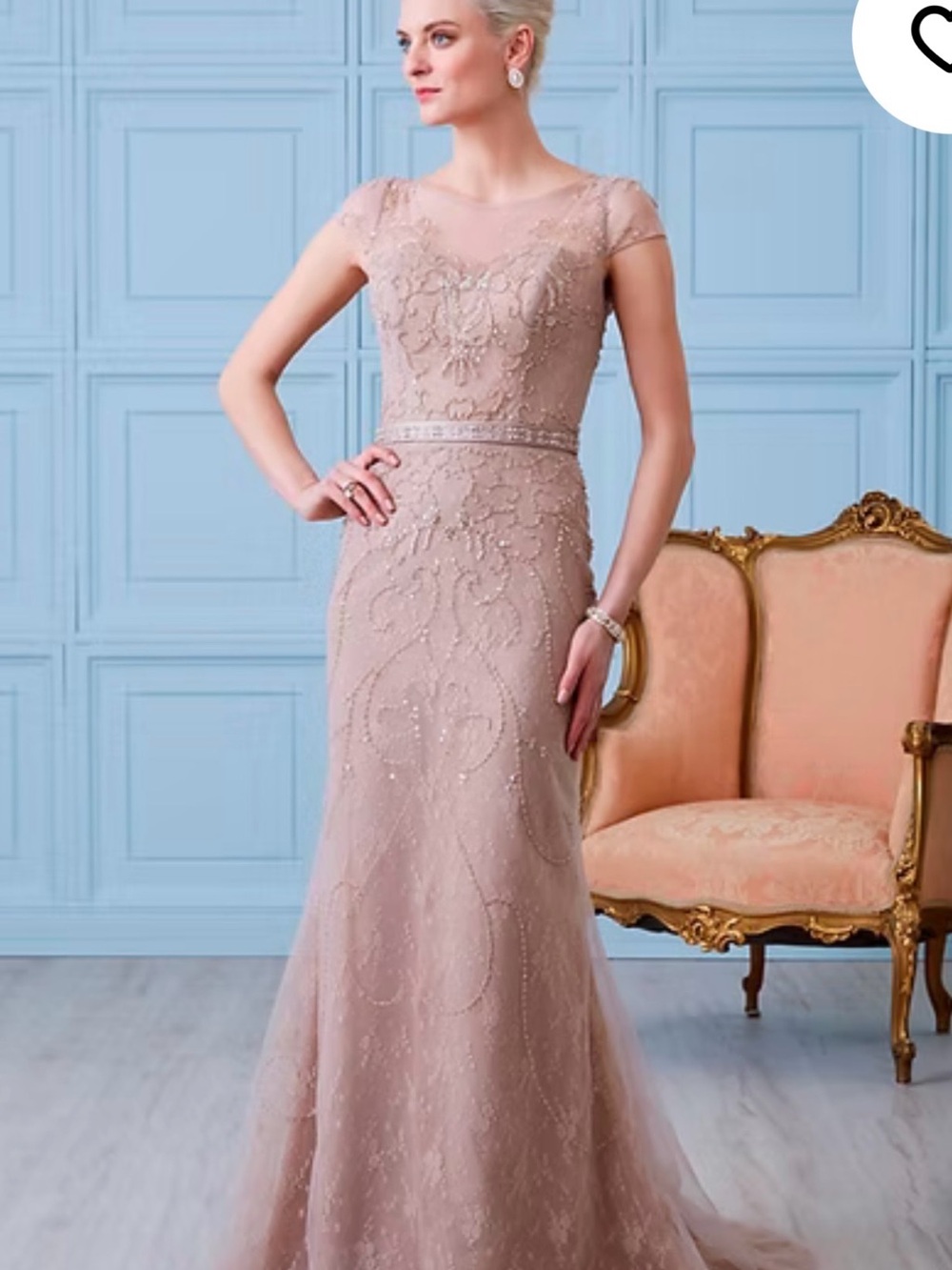 Blush Beaded Tulle Maxi Dress with Cap Sleeves
